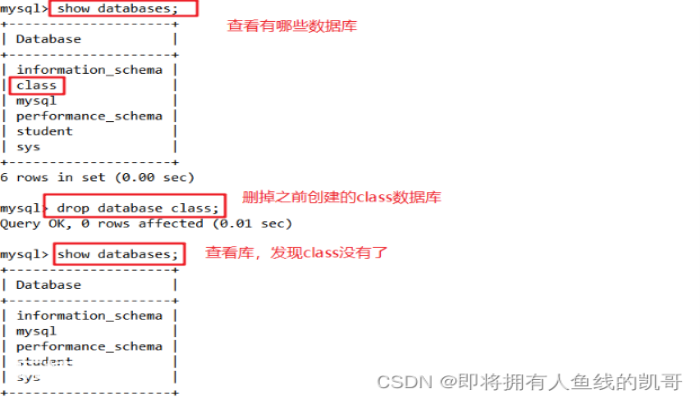 MySQL basic operation command of database MySQL basic operation command of database-图片8